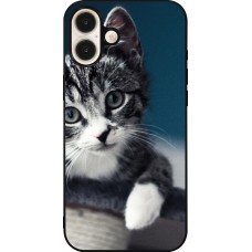 Coque iPhone 16 Plus - Silicone rigide noir Meow 23