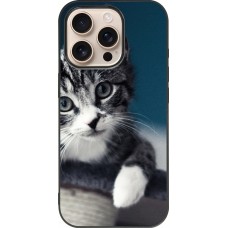 Coque iPhone 16 Pro - Silicone rigide noir Meow 23