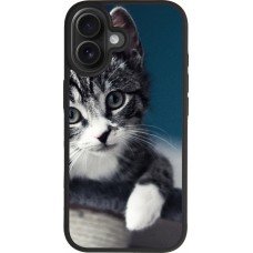 Coque iPhone 17 - Silicone rigide noir Meow 23