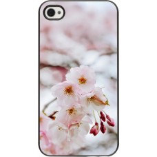 Coque iPhone 4/4s - Cherry tree Spring 2026