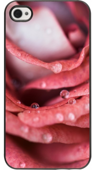 Coque iPhone 4/4s - Valentine 2023 wet petals