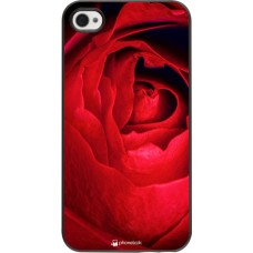 Coque iPhone 4/4s - Valentine 2022 Rose