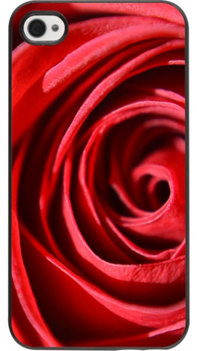 Coque iPhone 4/4s - Valentine 2023 close up rose
