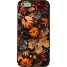 Coque iPhone 5/5s / SE (2016) - Autumn 25 Pumpkin