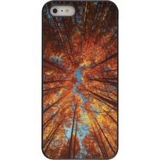 Coque iPhone 5/5s / SE (2016) - Autumn 25 Trees