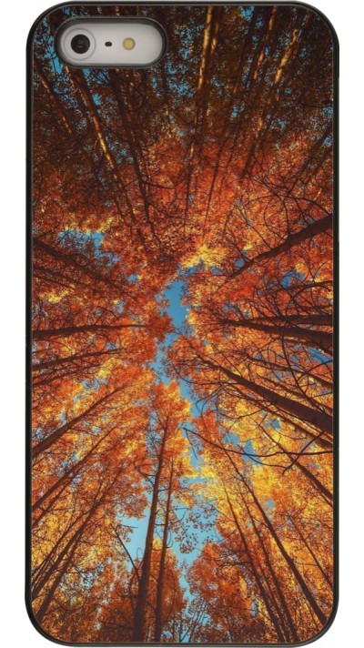 iPhone 5/5s / SE (2016) Case Hülle - Autumn 25 Trees
