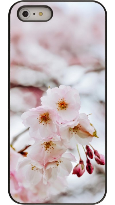 Coque iPhone 5/5s / SE (2016) - Cherry tree 2026