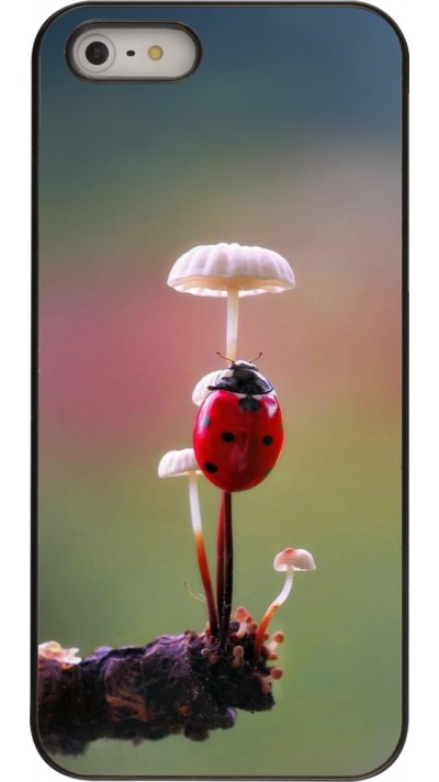 Coque iPhone 5/5s / SE (2016) - Ladybird on a mushroom 2026
