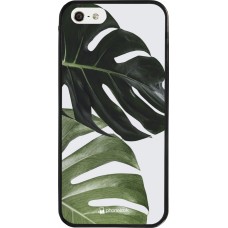 Coque iPhone 5/5s / SE (2016) - Silicone rigide noir Monstera Plant