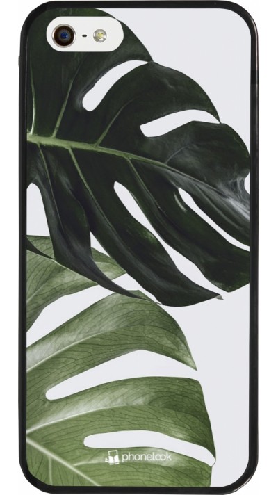 iPhone 5/5s / SE (2016) Case Hülle - Silikon schwarz Monstera Plant