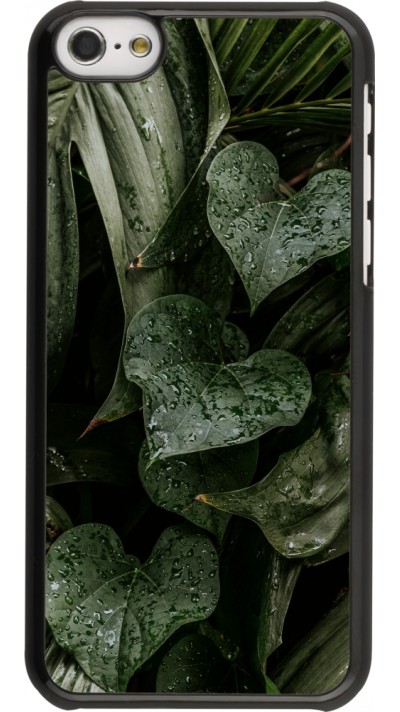 Coque iPhone 5c - Spring 23 fresh plants