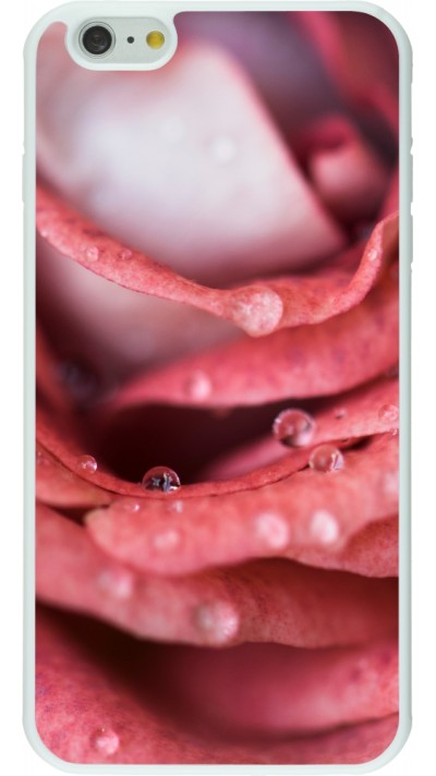 Coque iPhone 6 Plus / 6s Plus - Silicone rigide blanc Valentine 2023 wet petals