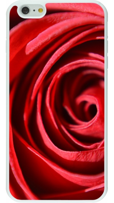 Coque iPhone 6 Plus / 6s Plus - Silicone rigide blanc Valentine 2023 close up rose