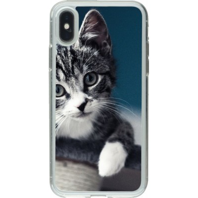 Hülle iPhone X / Xs - Gummi transparent Meow 23