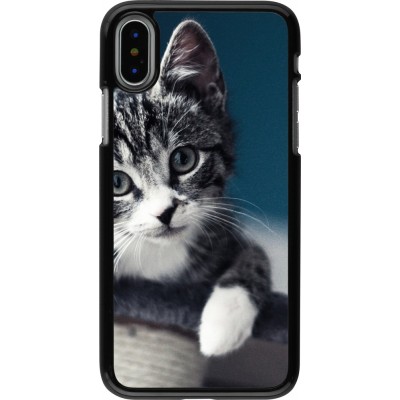 Hülle iPhone X / Xs - Meow 23