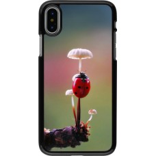 iPhone X / Xs Case Hülle - Ladybird on a mushroom Spring 2026