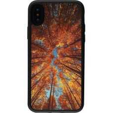 iPhone X / Xs Case Hülle - Silikon schwarz Autumn 25 Trees
