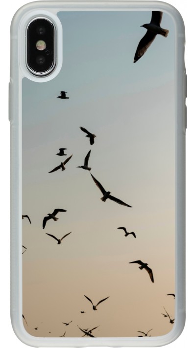 iPhone X / Xs Case Hülle - Silikon transparent Autumn 22 flying birds shadow