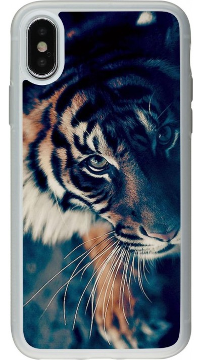 Coque iPhone X / Xs - Silicone rigide transparent Incredible Lion