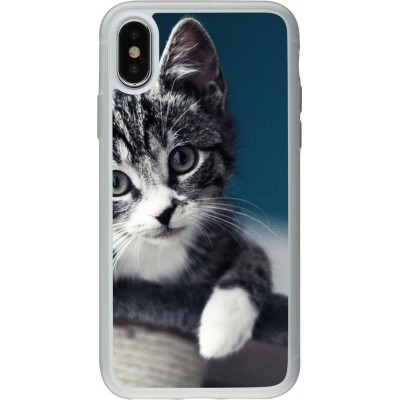 Hülle iPhone X / Xs - Silikon transparent Meow 23