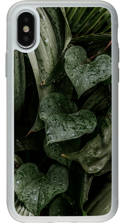 iPhone X / Xs Case Hülle - Silikon transparent Spring 23 fresh plants