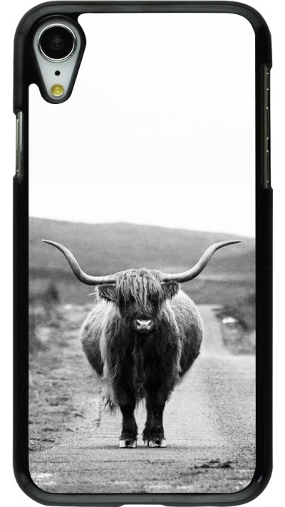 Coque iPhone XR - Highland cattle