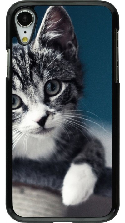 Hülle iPhone XR - Meow 23