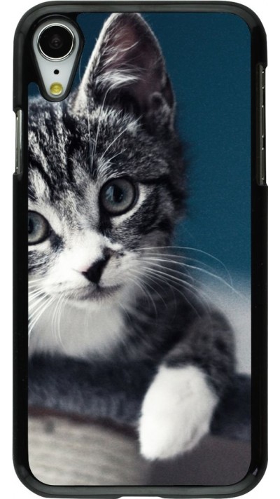 Coque iPhone XR - Meow 23