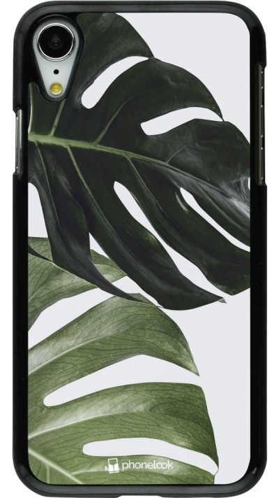 Coque iPhone XR - Monstera Plant