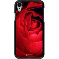 Coque iPhone XR - Valentine 2022 Rose