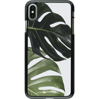 Hülle iPhone Xs Max - Monstera Plant