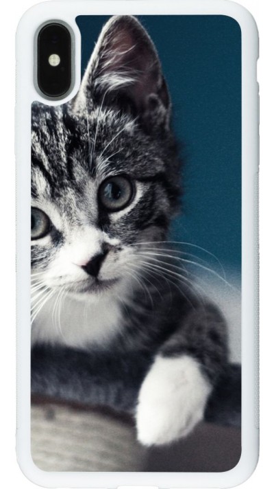 Coque iPhone Xs Max - Silicone rigide blanc Meow 23