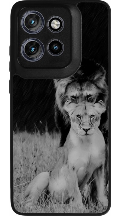 Coque Motorola Moto S50 - Silicone rigide noir Angry lions