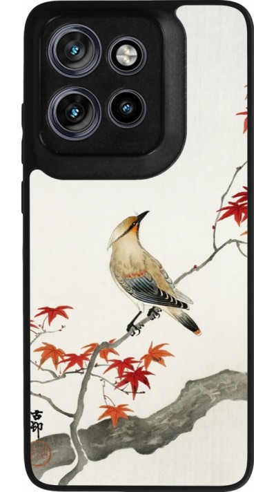 Motorola Moto S50 Case Hülle - Silikon schwarz Japanese Bird