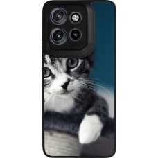 Motorola Moto S50 Case Hülle - Silikon schwarz Meow 23