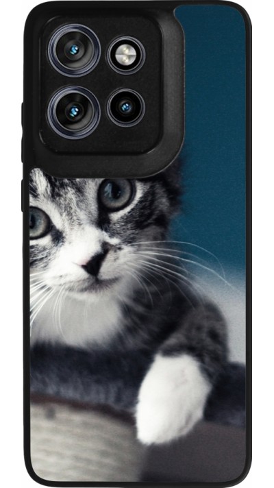 Motorola Moto S50 Case Hülle - Silikon schwarz Meow 23