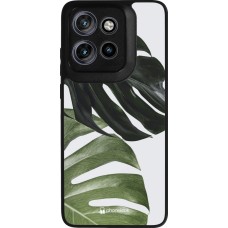 Coque Motorola Moto S50 - Silicone rigide noir Monstera Plant