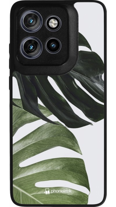 Motorola Moto S50 Case Hülle - Silikon schwarz Monstera Plant