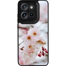 Motorola Moto S50 Case Hülle - Silikon schwarz Cherry tree Spring 2026