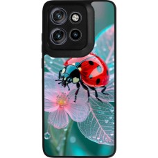 Motorola Moto S50 Case Hülle - Silikon schwarz Ladybird in bloom Spring 2026