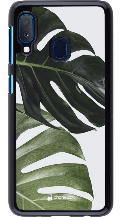 Coque Samsung Galaxy A20e - Monstera Plant