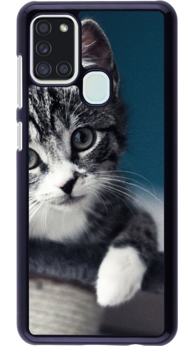 Hülle Samsung Galaxy A21s - Meow 23