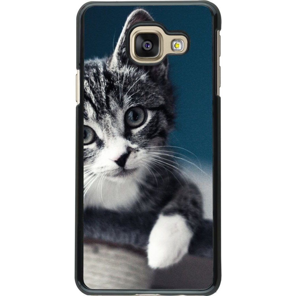 Hülle Samsung Galaxy A3 (2016) - Meow 23