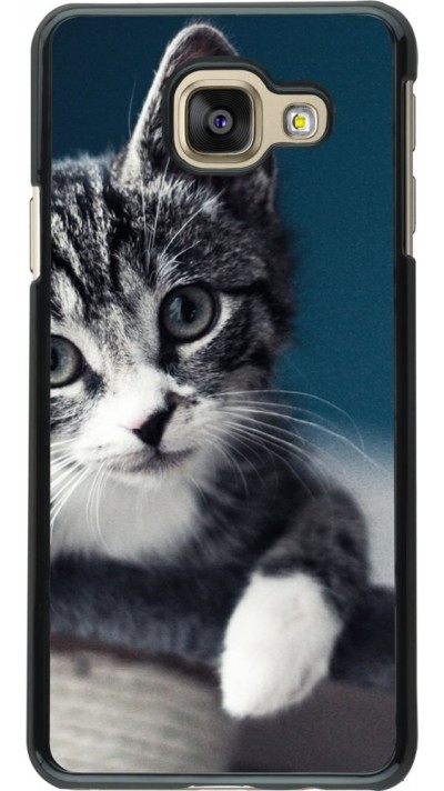 Hülle Samsung Galaxy A3 (2016) - Meow 23