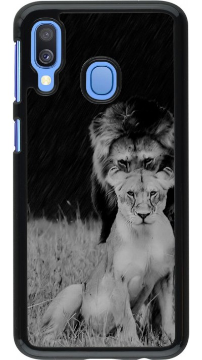 Coque Samsung Galaxy A40 - Angry lions