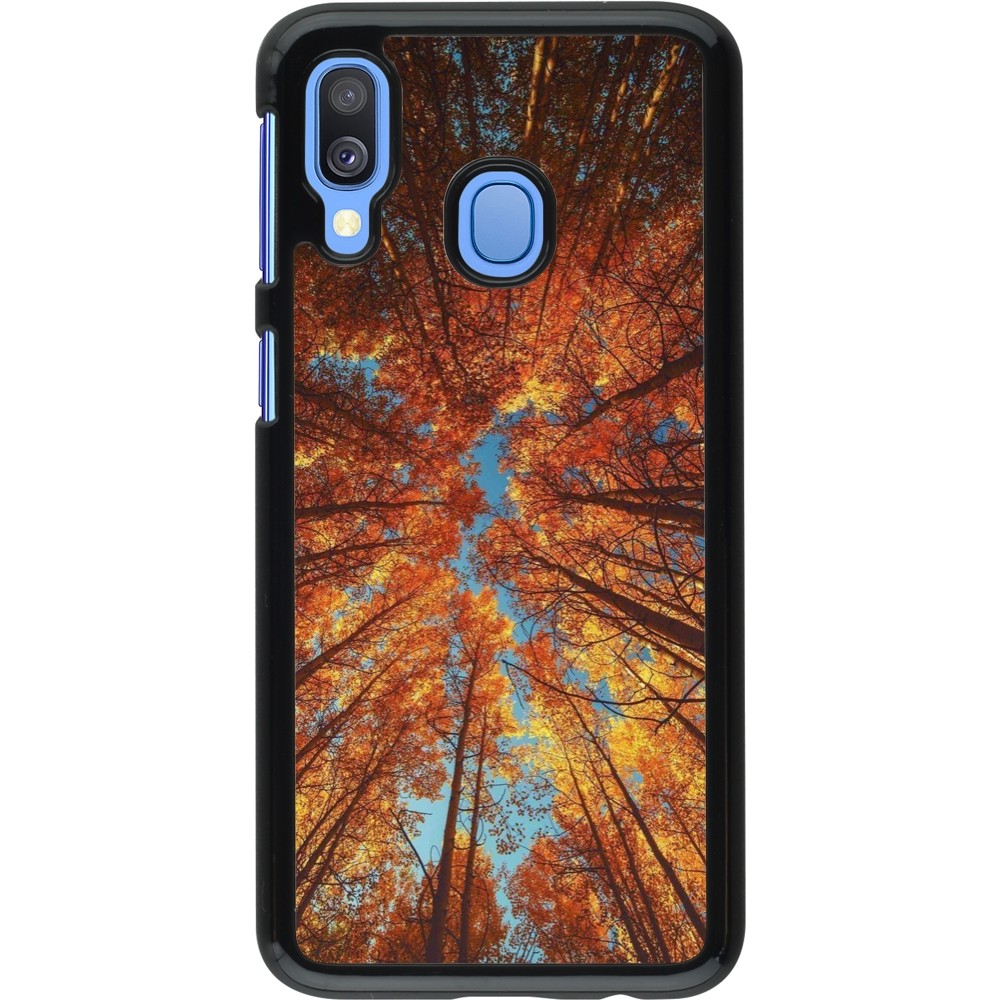 Samsung Galaxy A40 Case Hülle - Autumn 25 Trees