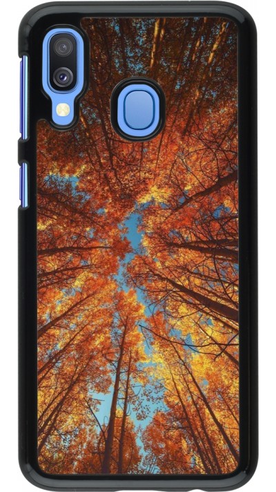 Samsung Galaxy A40 Case Hülle - Autumn 25 Trees