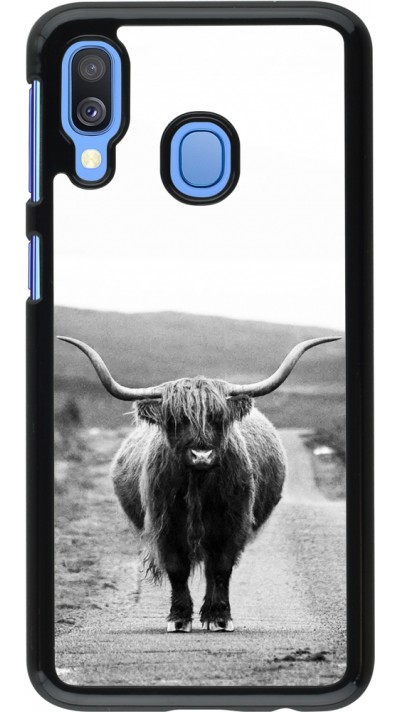 Coque Samsung Galaxy A40 - Highland cattle
