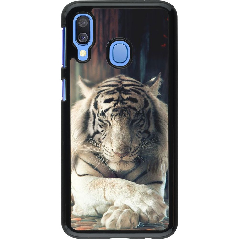 Coque Samsung Galaxy A40 - Zen Tiger