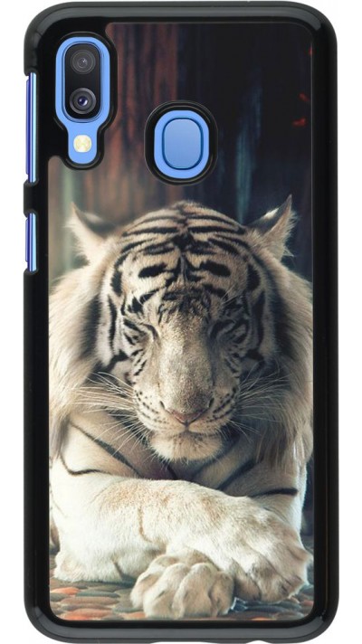 Coque Samsung Galaxy A40 - Zen Tiger